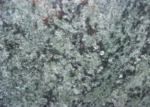 Verde Olive Südafrika | Gesteinsart: Metamorphit | Untergruppe: Migmatit | Herkunft: Südafrika | Alter: >100 Mill. Jahre